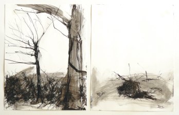 Tine Holz, Landschaft, tusche auf papier, 20,7 x 26,8 cm je bild