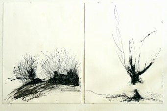 Tine Holz, Landschaft, tusche auf papier, 20,7 x 26,8 cm je bild